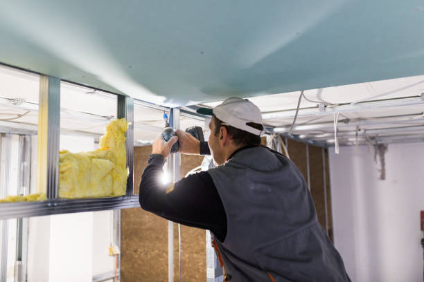 Best Professional Insulation Contractor  in Keuka Park, NY