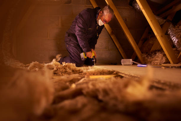 Best Insulation for New Construction  in Keuka Park, NY